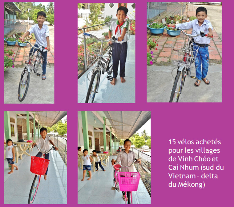 EVE Enfant - Vélo - Ecole 15 vélos